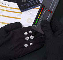 Load image into Gallery viewer, Big Cluster Earrings